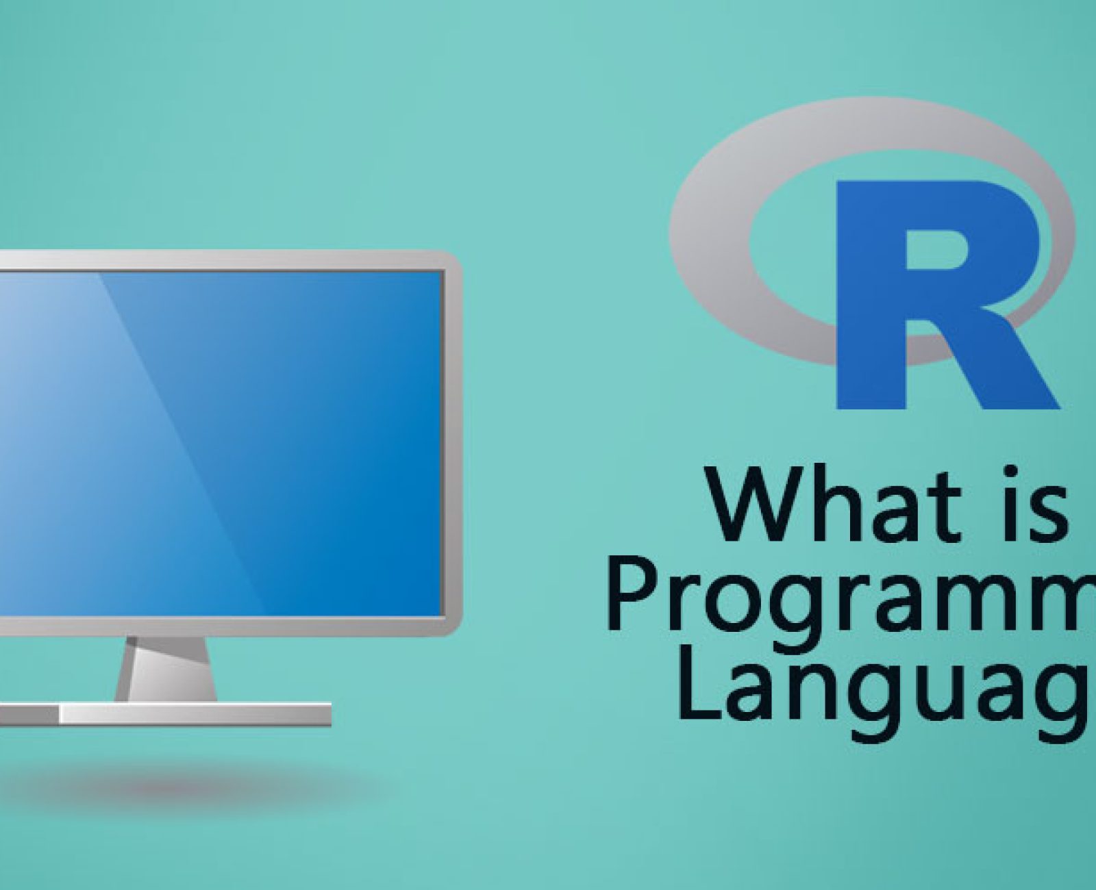 R Programming Language